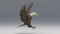3D-American-Bald-Eagle-Animated5