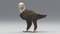 3D-American-Bald-Eagle-Animated7