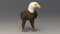 3D-American-Bald-Eagle-Rigged-model17
