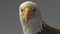 3D-American-Bald-Eagle-Rigged-model20