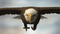 3D-American-Bald-Eagle-Rigged-model34