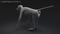 3D-Baboon-Rigged-model13