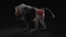3D-Baboon-Rigged-model6
