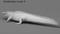 3D-Crocodile-Animated-model16