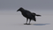 3D-Crow-Animated9