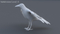 3D-Crow-Rigged-model17