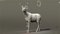 3D-Deer-Animated-Fur-model15