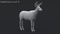 3D-Deer-Animated-Fur-model9
