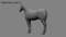 3D-Horse-Animated19