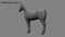 3D-Horse-Animated20