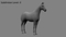 3D-Horse-Animated21