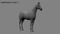 3D-Horse-Animated22