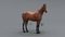 3D-Horse-Animated23