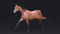 3D-Horse-Animated3