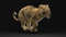 3D-Lion--Cub-Rigged12
