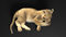 3D-Lion--Cub-Rigged14
