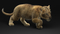 3D-Lion--Cub-Rigged15