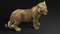 3D-Lion--Cub-Rigged18