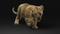 3D-Lion--Cub-Rigged2
