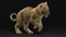 3D-Lion--Cub-Rigged6