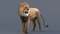 3D-Lion-Animated12
