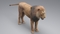 3D-Lion-Fur4