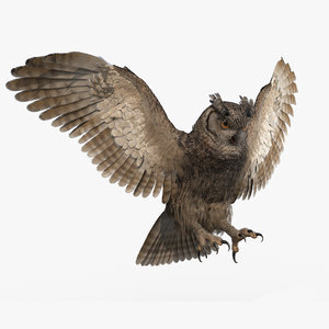 3D-Owl-Animated-model1