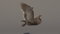 3D-Owl-Animated-model5