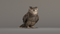 3D-Owl-Rigged7