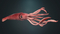 3D-Squid-Rigged2
