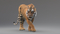 3D-Tiger-Animated-Fur-model11