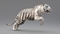 3D-Tiger-Animated-Fur-model14