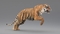 3D-Tiger-Animated-Fur-model2
