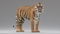 3D-Tiger-Rigger-with-Ornatrix-Fur-model2