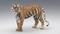 3D-Tiger-Rigger-with-Ornatrix-Fur-model9