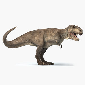 3D-Tyrannosaurus-Rex-Rigged-model1