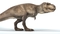 3D-Tyrannosaurus-Rex-Rigged-model10