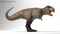 3D-Tyrannosaurus-Rex-Rigged-model12