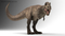 3D-Tyrannosaurus-Rex-Rigged-model14