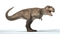 3D-Tyrannosaurus-Rex-Rigged-model2