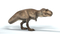 3D-Tyrannosaurus-Rex-Rigged-model3