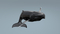 3D-Whale-Animated8