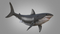 3D-White-Shark-Animated13