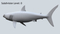 3D-White-Shark-Animated18