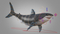 3D-White-Shark-Animated20