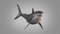 3D-White-Shark-Animated4