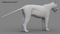 3D-White-Tiger-Animated-Fur14