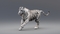 3D-White-Tiger-Animated-Fur2