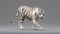 3D-White-Tiger-Animated-Fur5