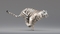 3D-White-Tiger-Animated-Fur6
